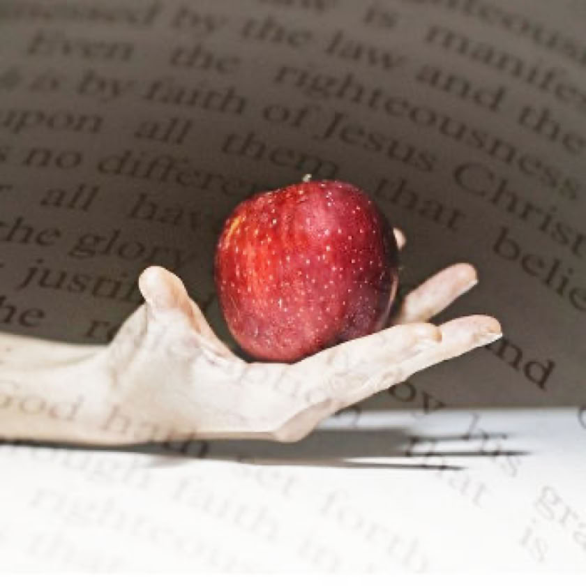 Analyse critique du pardon des péchés dans l'Église néo-apostolique (ENA). Est-il biblique ? Découvrez les faits, doctrines et controverses sur ce sacrement exclusif. Lisez notre étude approfondie !