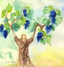Wine with grapes vs New Apostolich Church Chief Apostle Ministry 